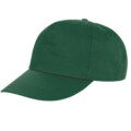 Variation picture for Bottle Green