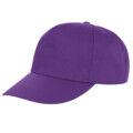 Variation picture for Purple